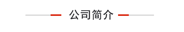 公司简介